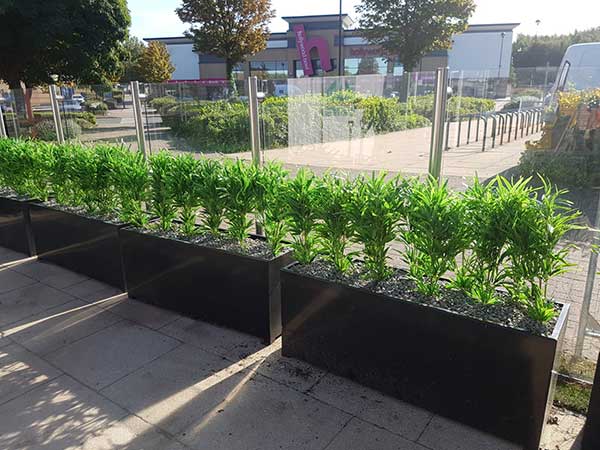 IMG_0756 planters